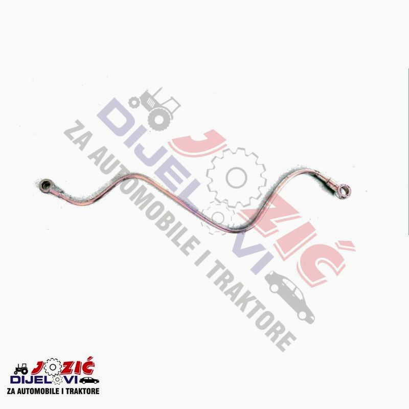 Daisy on the Ohoopee